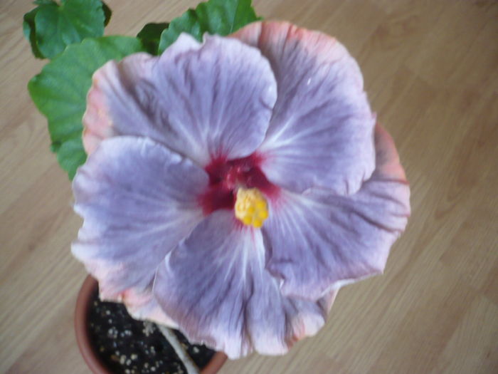 P1250982