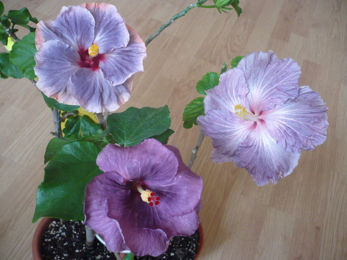 P1250997