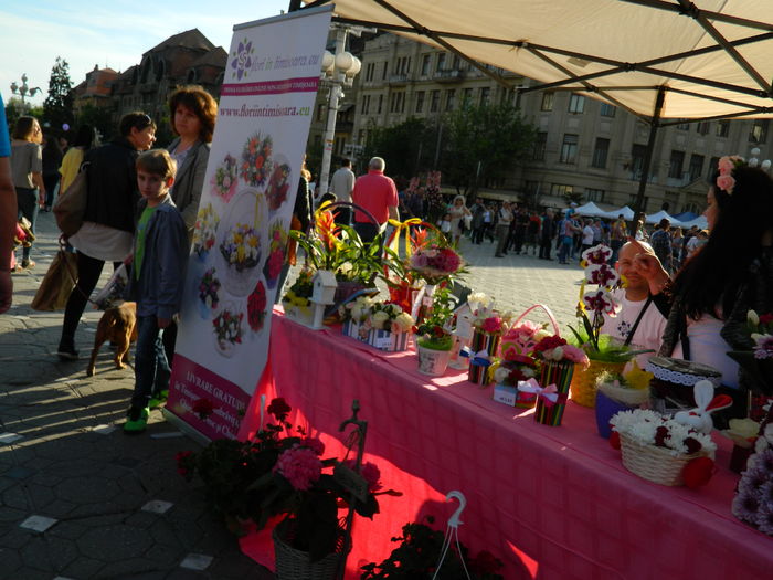 DSCN6319 - 2016 FESTIVALUL FLORILOR_TIMISOARA