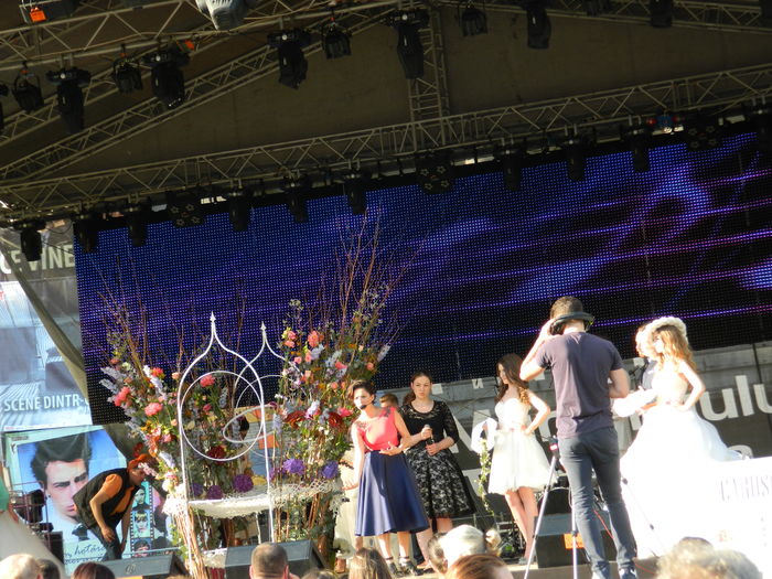 DSCN6335 - 2016 FESTIVALUL FLORILOR_TIMISOARA