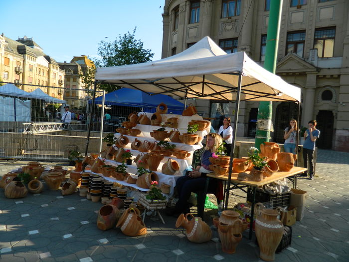 DSCN6351 - 2016 FESTIVALUL FLORILOR_TIMISOARA