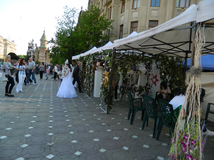 DSCN6355 - 2016 FESTIVALUL FLORILOR_TIMISOARA