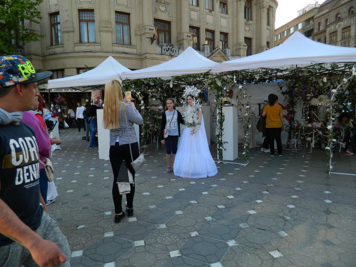 DSCN6357 - 2016 FESTIVALUL FLORILOR_TIMISOARA