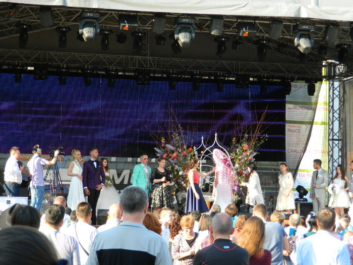 DSCN6359 - 2016 FESTIVALUL FLORILOR_TIMISOARA