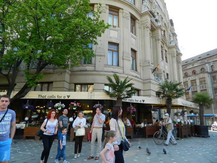 DSCN6362 - 2016 FESTIVALUL FLORILOR_TIMISOARA