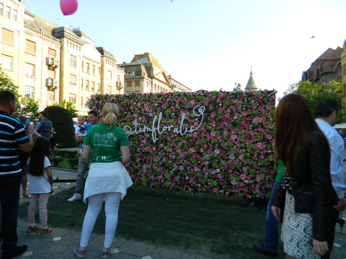 DSCN6363 - 2016 FESTIVALUL FLORILOR_TIMISOARA