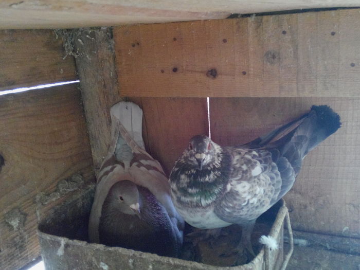 9; IMG_20160424_135011
