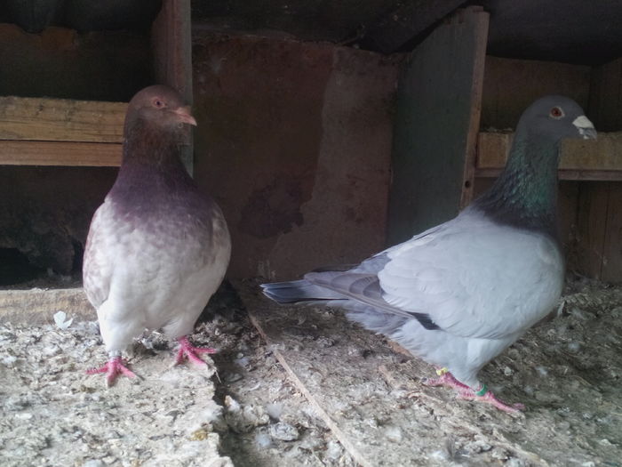 10; IMG_20160424_125825
