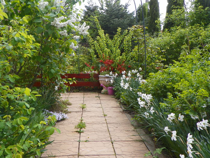 24 apr (47) - Gradina 2016