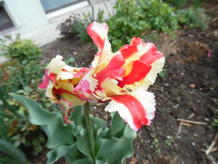 041