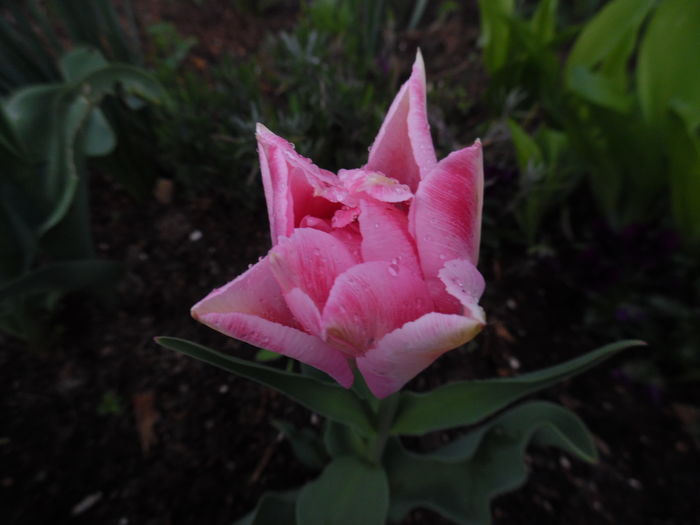 046
