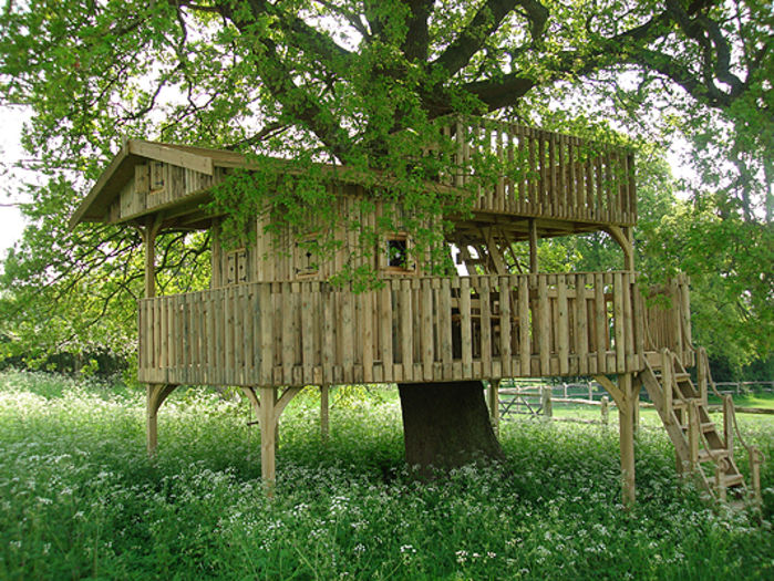 1 (www.cheekymonkeytreehouses.com)