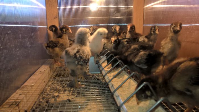 WP_20160424_17_07_17_Pro