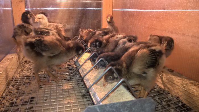 WP_20160424_17_07_33_Pro