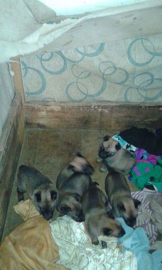 received_156281601429709