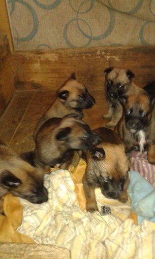 received_156285418095994