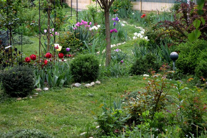 Schimbare de ton - 2016 Gradina rozelor_Apr