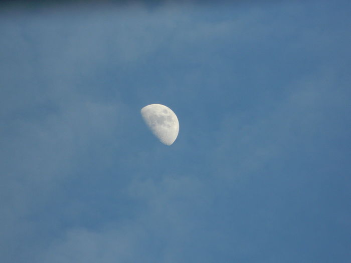 DSCN5337 - 2016 Aprilie_3