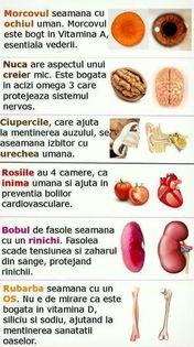 105210376_LIUJOBK