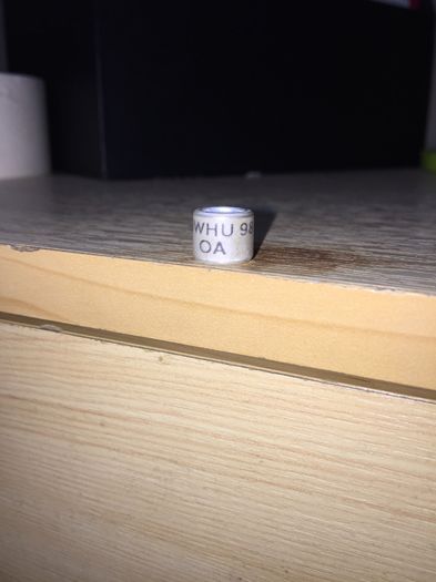 Tara Galilor OA - Colectia 1 inele porumbei