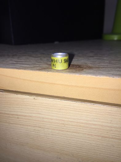 Tara Galilor N - Colectia 1 inele porumbei