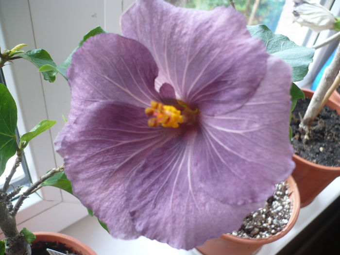 P1260006