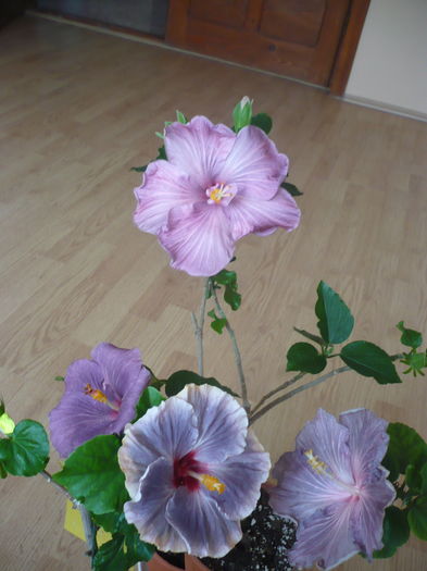 P1260022