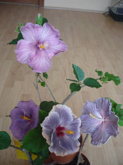P1260028