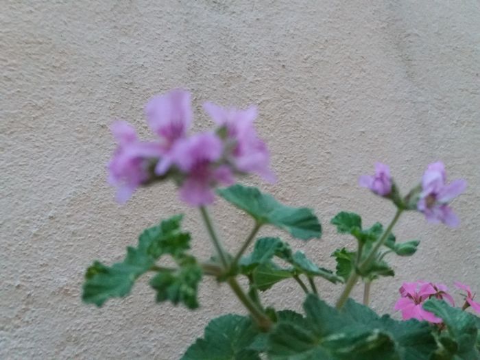 20160418_200802