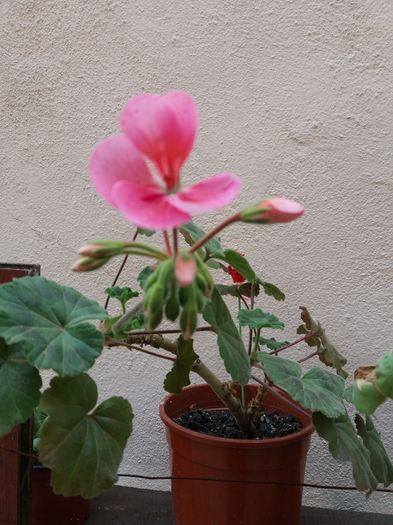 20160419_180811