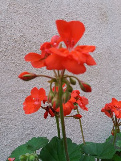 20160425_182921