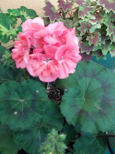 20160425_183443