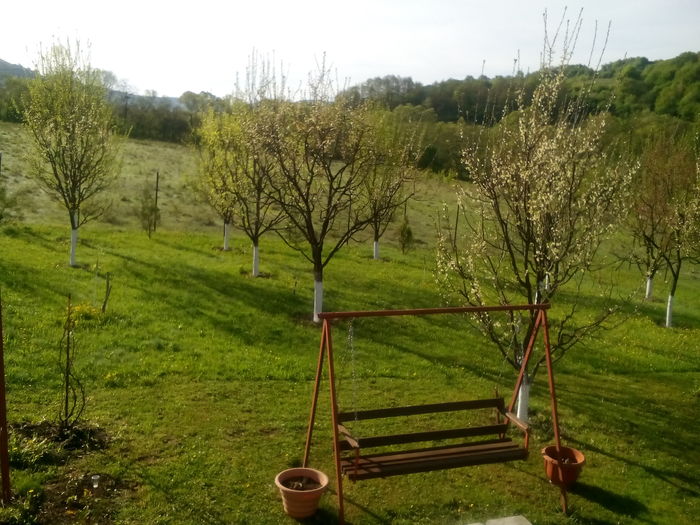 020 - Primavara 2016