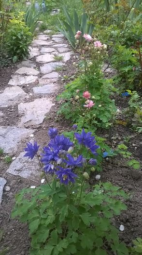 WP_20160414_002 - Caldaruse