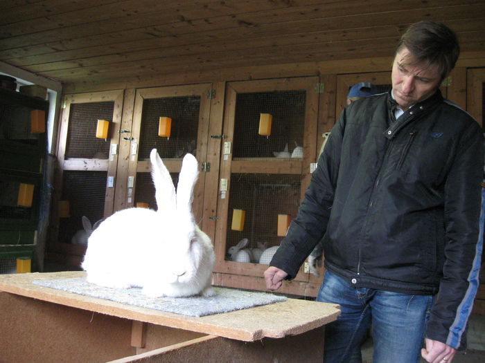 ionica o studiaza - vizita crescatoriilor de iepuri oi si gaini din zona -sucevei-vaslui