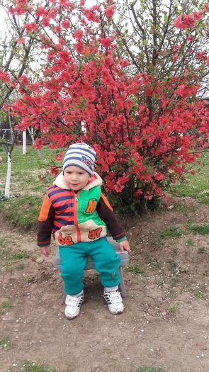 20160408_110339 - 00 ROBERT