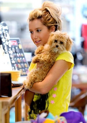 Ashley Tisdale - Vedetele si patrupedele