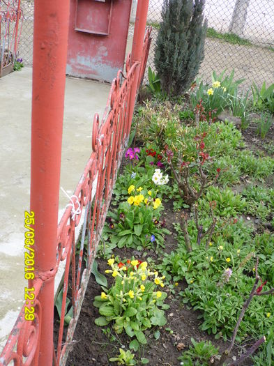 SAM_0567
