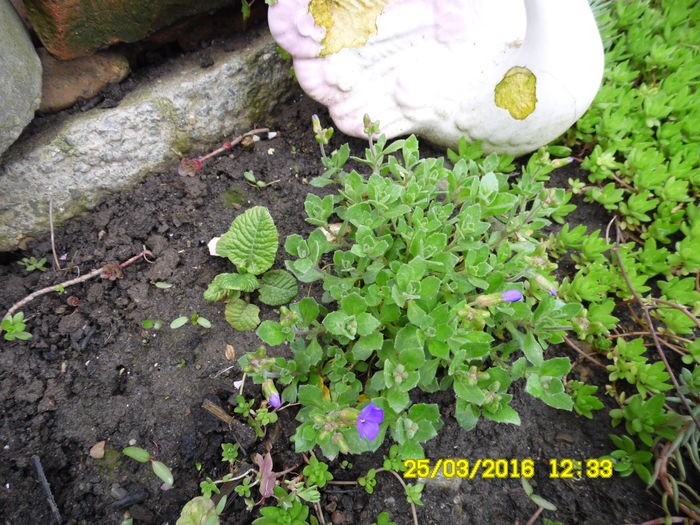 SAM_0579