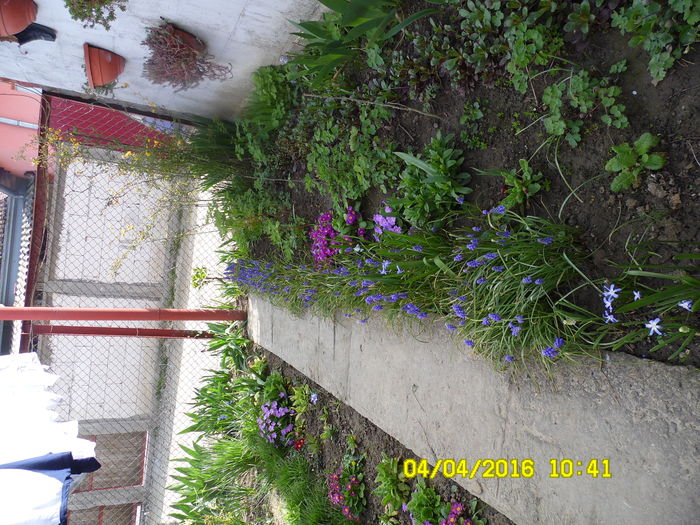 SAM_0599