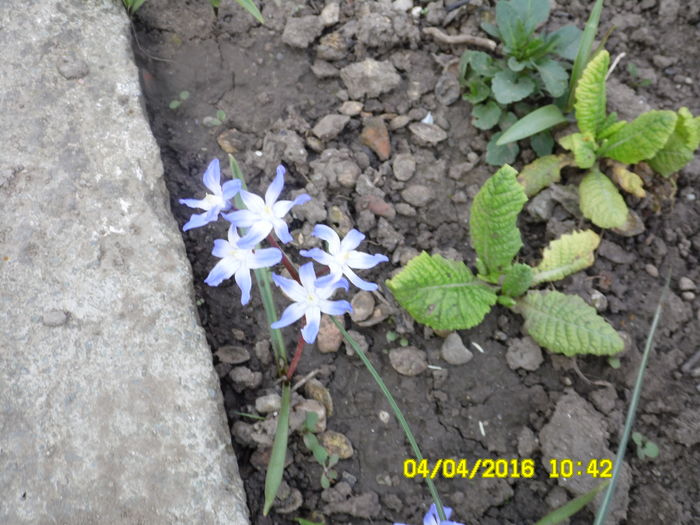 SAM_0604
