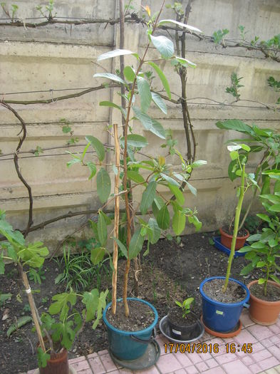 2016 - din nou in natura, aici ne..