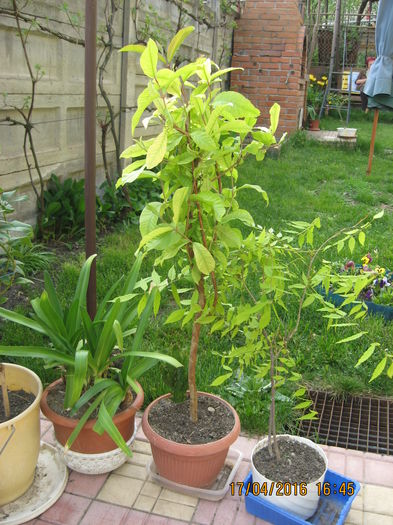 simtim cel mai bine, sa vina caldura.