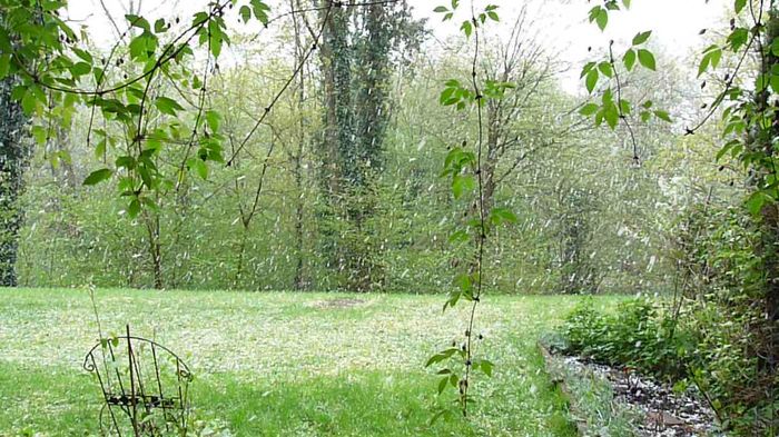 Ger, zapada si viscol! - 2016 - 01 - Primavara