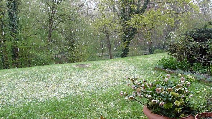 Temperaturi intre -2°C si +2°C - 2016 - 01 - Primavara