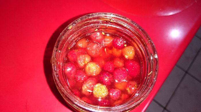 DSC_0910 - Fructe de padure in miere