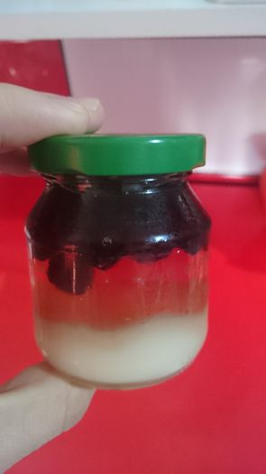 DSC_0853_1 - Fructe de padure in miere