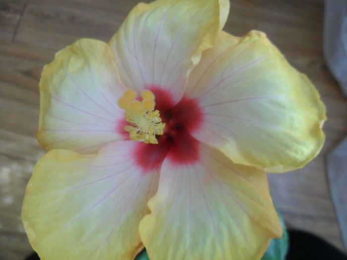 046