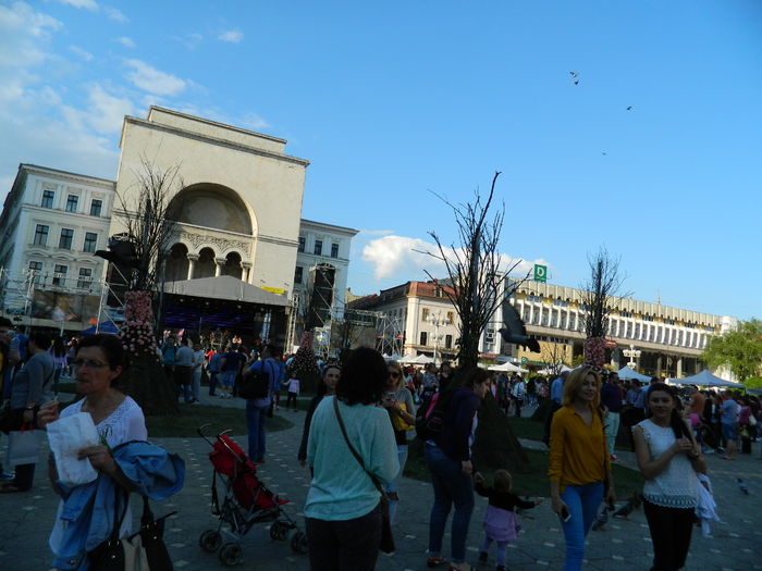 DSCN6373 - 2016 FESTIVALUL FLORILOR_TIMISOARA