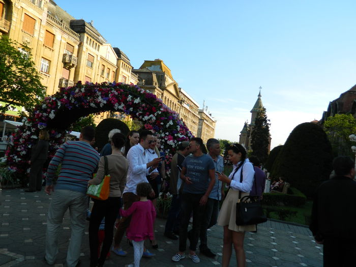 DSCN6375 - 2016 FESTIVALUL FLORILOR_TIMISOARA
